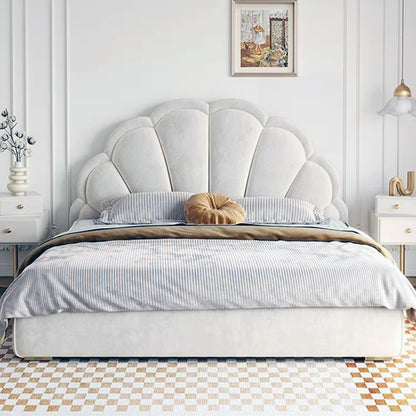 Shell Bed